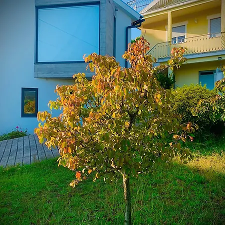 A Casa Do Abilio Em *